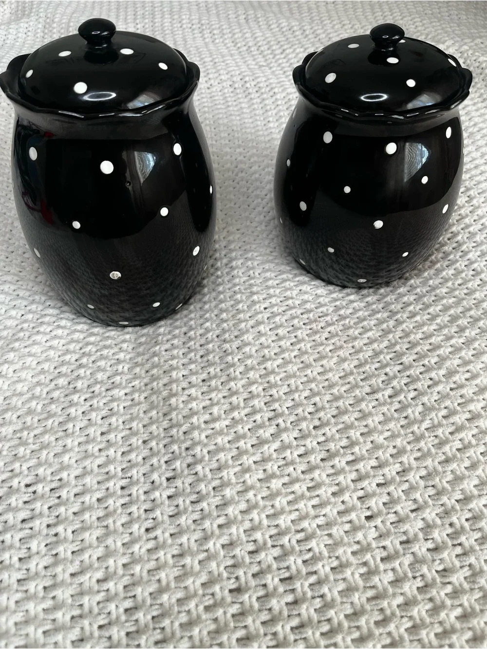 Temp-Tations by Tara Black with White Polka Dot Ceramic Canisters/Lids Set of 2